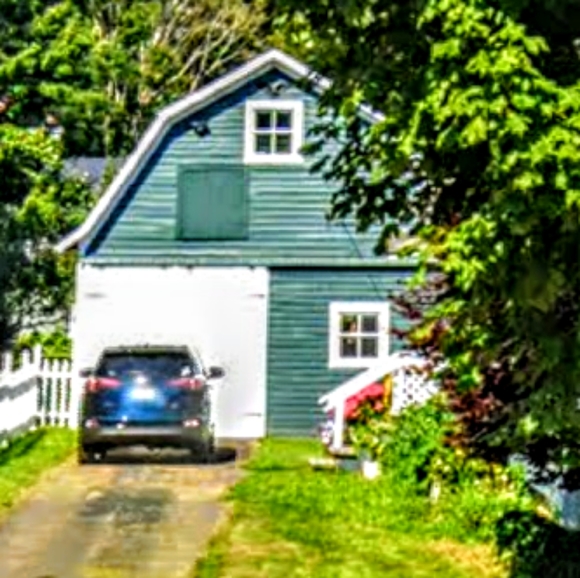 FUNDRAISER 4 RESCUE! - Picture 9 of 16